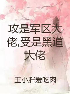 攻是军区大佬,受是黑道大佬封面